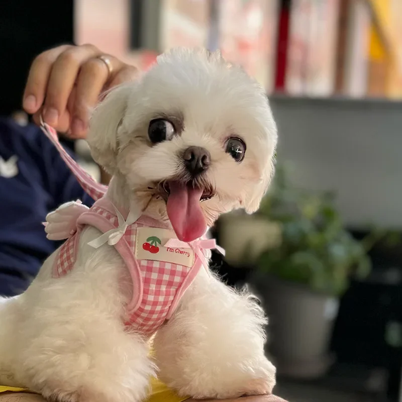 Arnés transpirable con diseño de fresa para perros y gatos, Collar de Escape, arnés de ala para mascotas, conjunto de correa, chaleco para el pecho bonito para cachorros y gatitos, Chihuahua - imagen 3