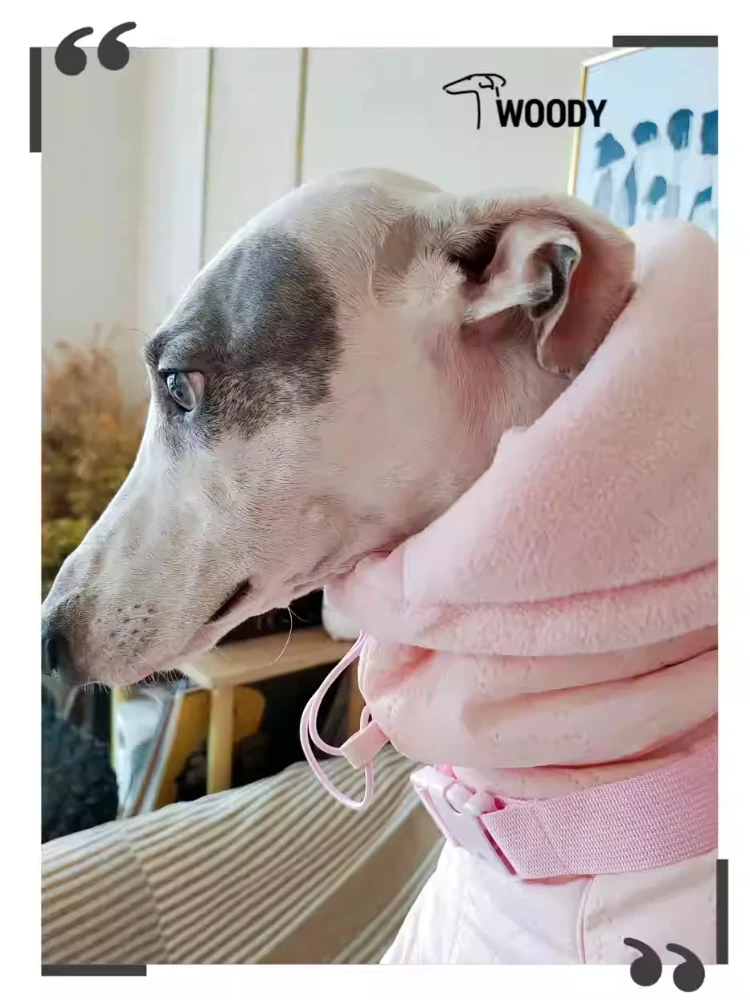Ropa rosa de Whippet para niña, abrigo acolchado con cuello de tortuga para perro, Chaqueta de algodón ajustable cálida para galgo italiano, invierno - imagen 3