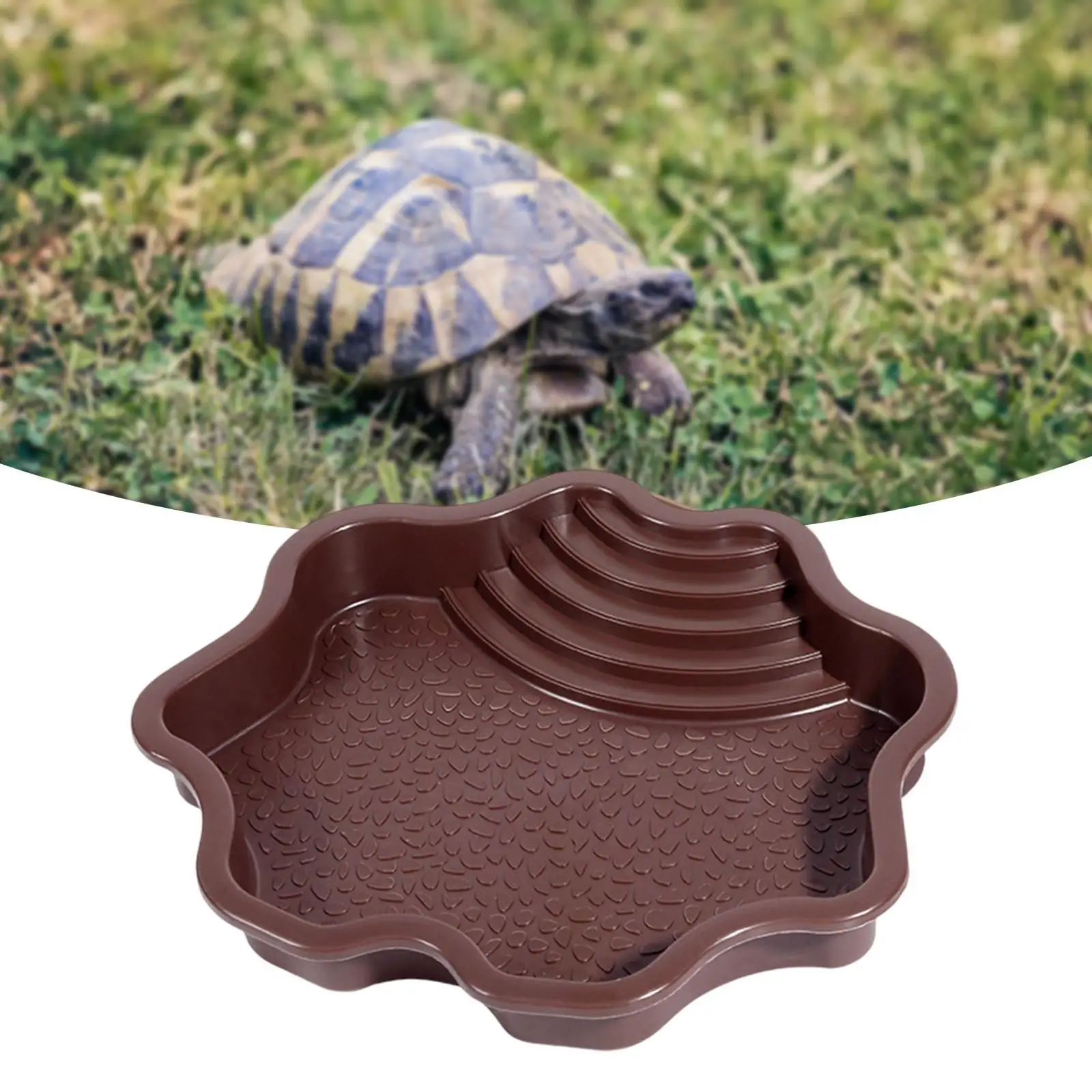 Reptile Water Bowl Reptile Water Dish for Bearded Dragons Gecko Pet Supplies