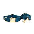 collar and leash set
