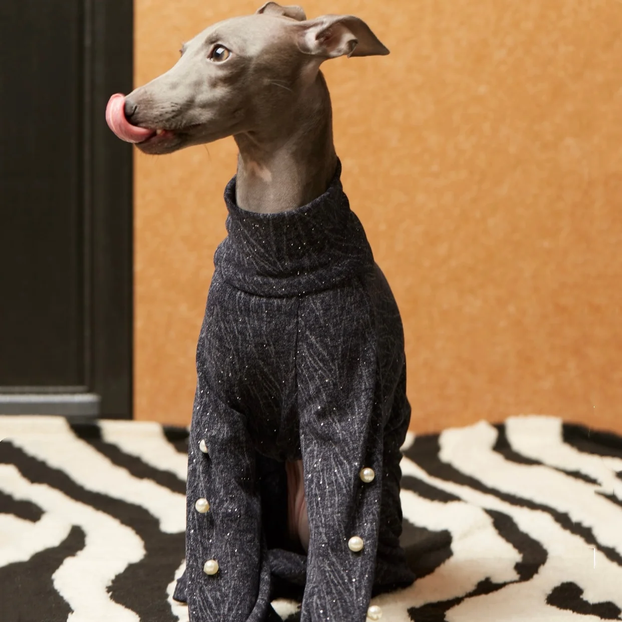 Vestido de noche azul con perlas para perro galgo italiano elegante - imagen 3