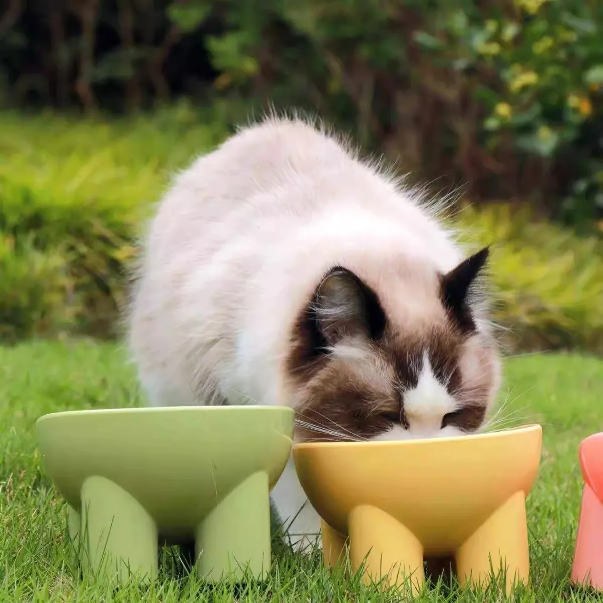 Cuenco elevado para perros y gatos con 15 °   Incline, plato de agua y comida para mascotas respetuoso con el cuello, comedero elevado estable para la salud de la columna vertebral