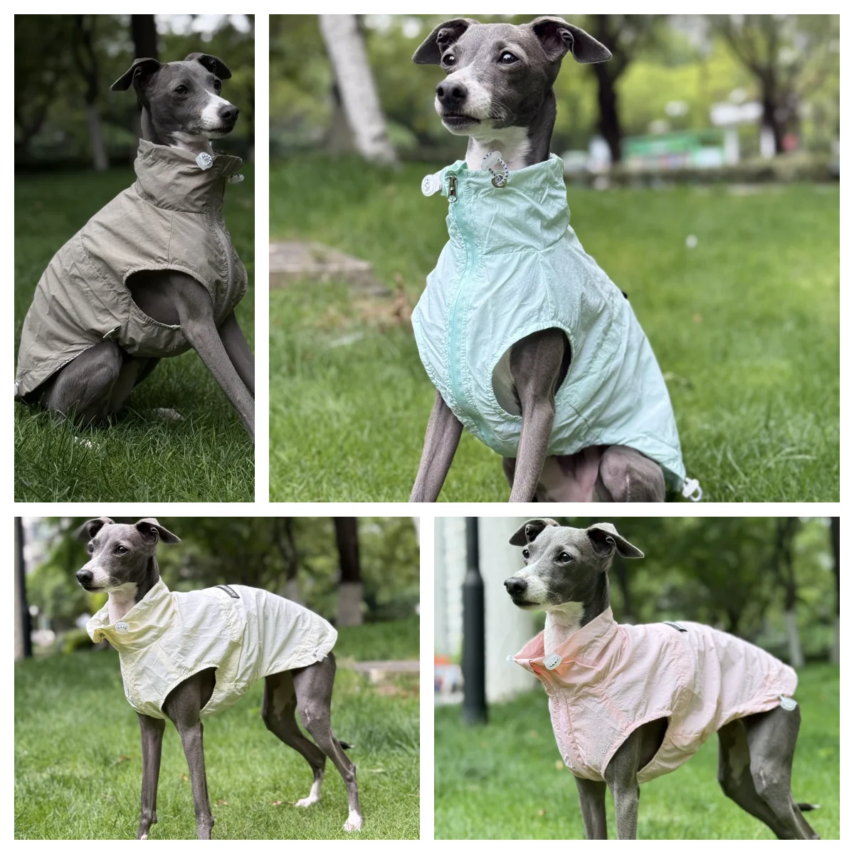 Ropa de protección solar para perros en verano Chaqueta de abrigo UPF100 transpirable fresca y ligera con cremallera para galgo italiano Chaleco de resorte suave con botones ajustables para Bedlington - imagen 2
