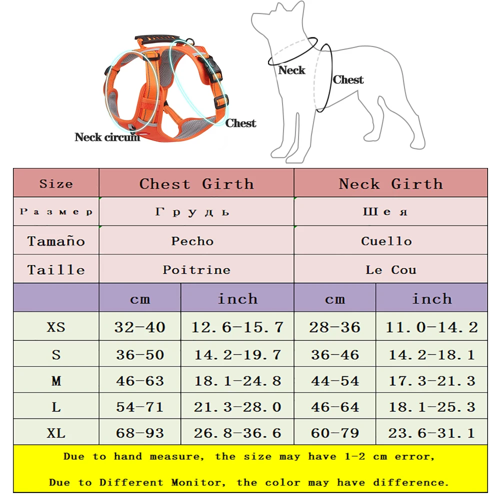 Arnés desde diferentes ángulos