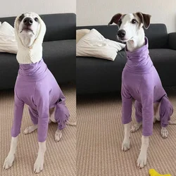 Jersey cuello de tortuga para galgo y Whippet – Suéter morado suave