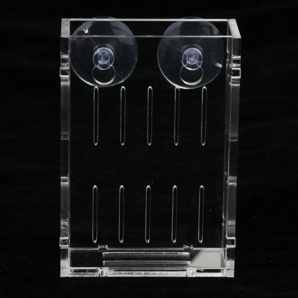 Maceta decorativa moderna para acuario, jarrón para todos los peceras