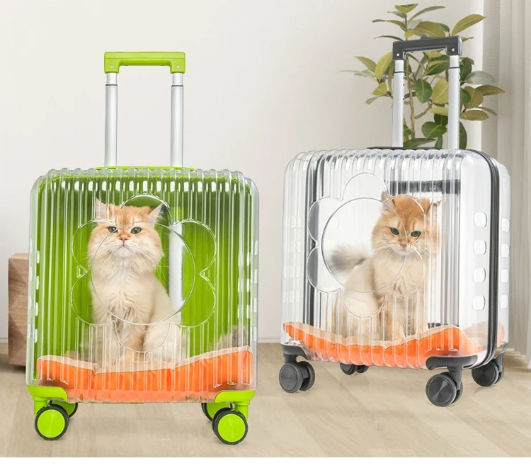 Transportín con asa para gatos y perros