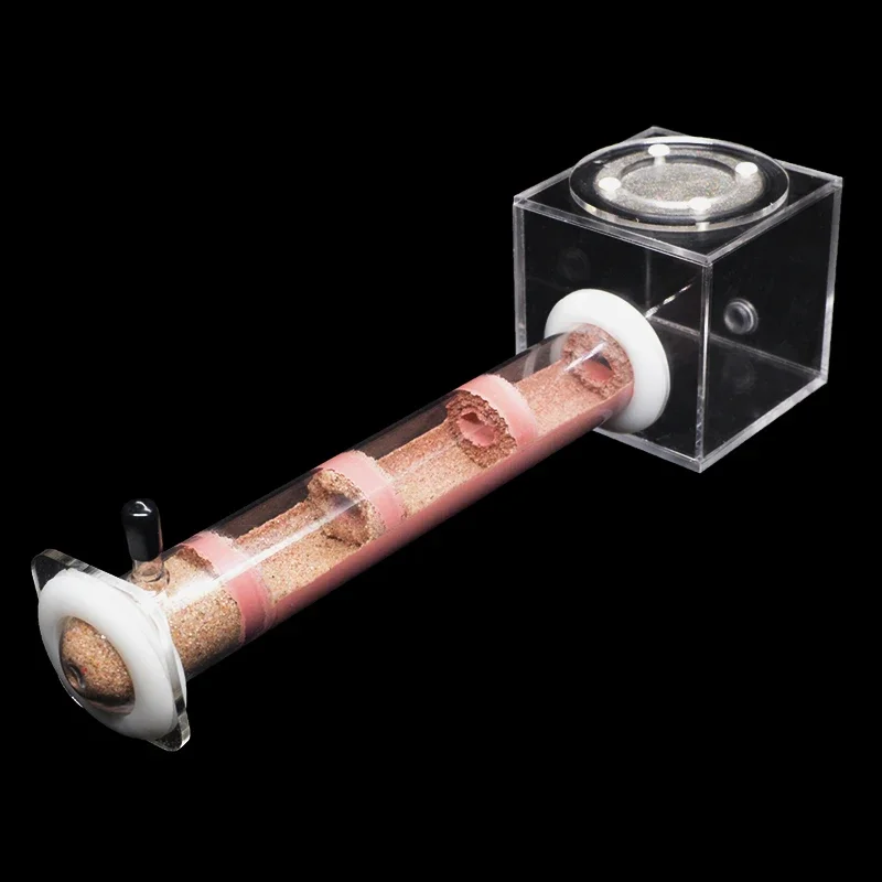 Nido de tubo de bambú para granja de hormigas, varios tamaños, bricolaje, con área de alimentación, taller de antill para mascotas, nido de cría de hormigas Queen, soporte para nido de casa de hormigas - imagen 3