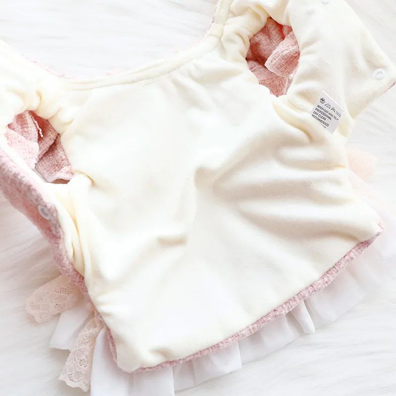 Ropa para perros, ropa de otoño e invierno, vestido grueso de princesa para gatos, tracción rosa, viento pequeño fragante, suministros para mascotas de peluche para perros pequeños - imagen 4