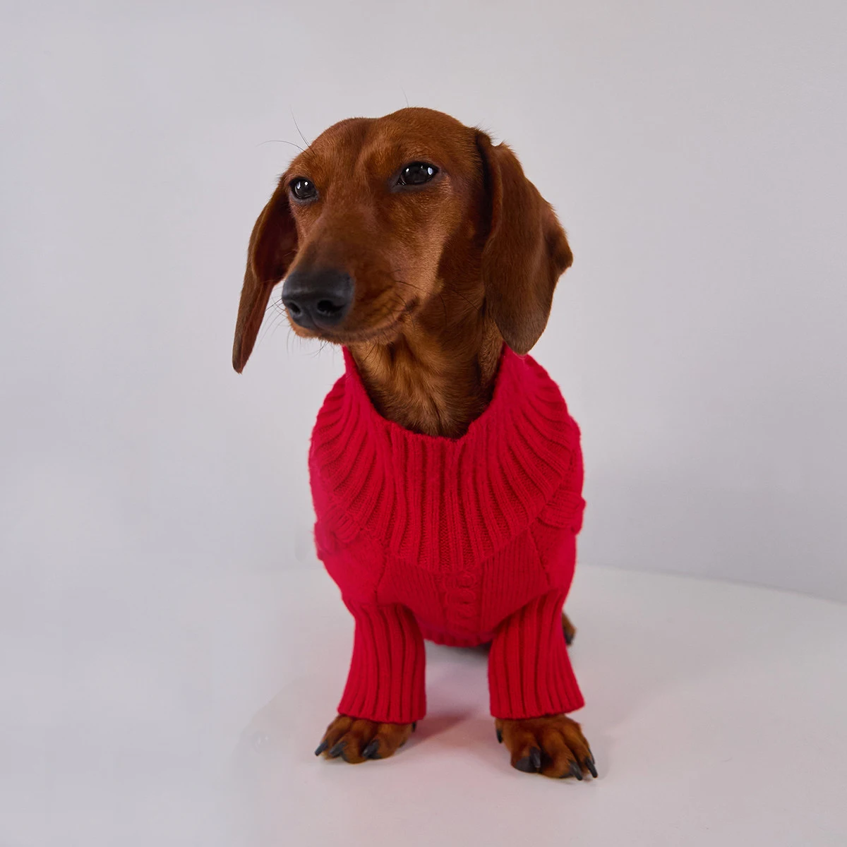 Suéter rojo para perros salchicha; abrigo cálido tejido a mano - imagen 2
