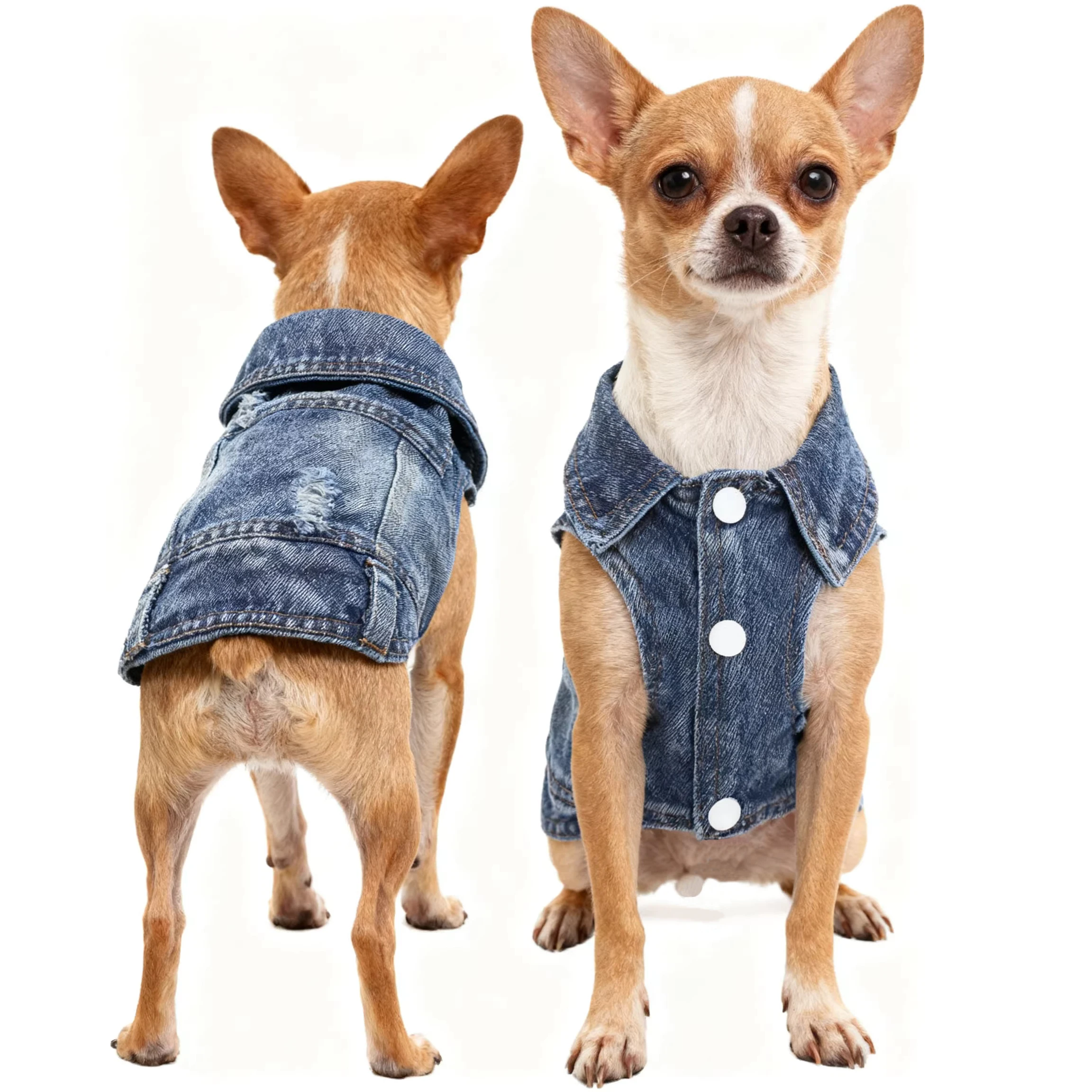 Chaqueta vaquera para perros pequeños y medianos – Chihuahua, Yorkie y Bulldog - imagen 2