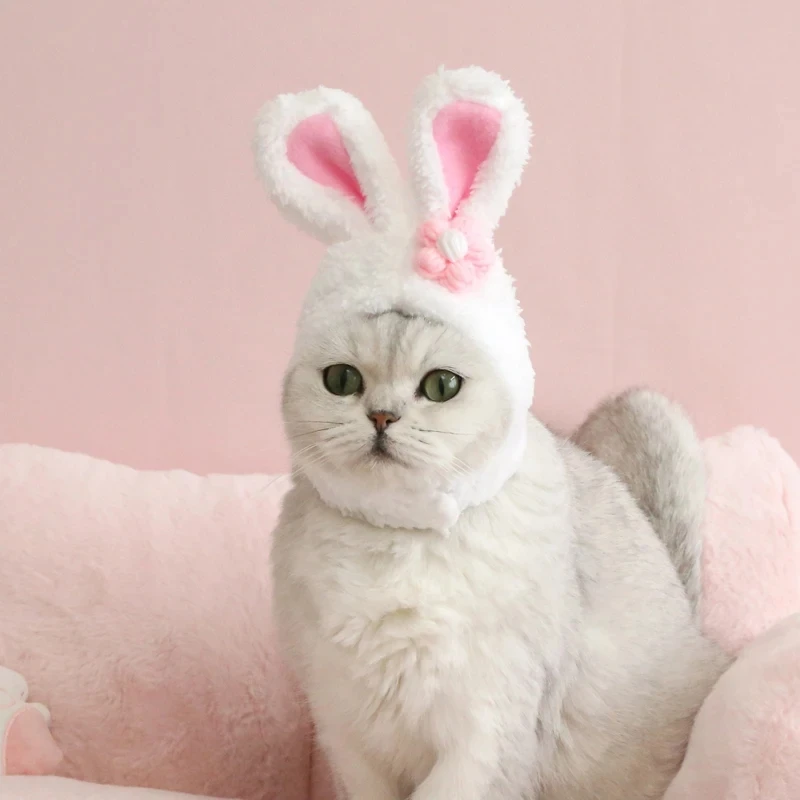 Lindo Gorro con orejas de conejo para gatos, gorro de felpa para mascotas, gorro cálido, accesorios de Cosplay, PhotoProp, suministros para sombreros de gatitos, navidad - imagen 5