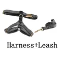 harness leash