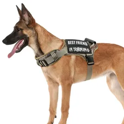 Arnés reflectante ajustable para perro – Cómodo para paseo