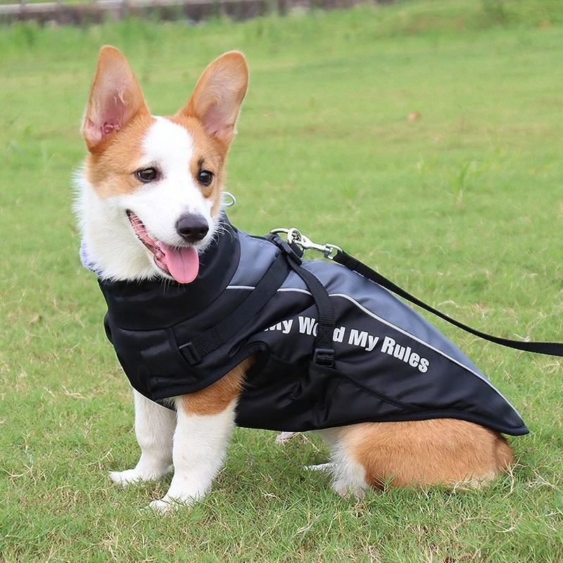 Chaqueta de intercambio Oxford para perros grandes, mono reflectante ligero a prueba de viento para cachorros, abrigo de plumón Husky ajustable para exteriores - imagen 3