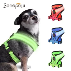 Arnés LED recargable para perros – Reflectante con malla ajustable