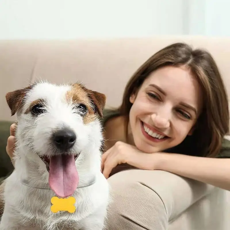 Etiqueta de identificación de perro personalizada, Collar para mascota con grabado gratis, colgante, placa con nombre antipérdida para cachorros, etiquetas personalizadas de hueso de gato, suministros para perros y mascotas - imagen 3
