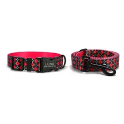 Collar y correa a juego para perro con grabado personalizado