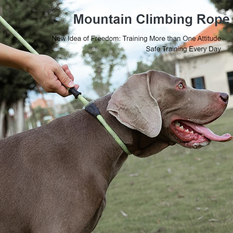 Truelove-Correa y Collar de entrenamiento para mascotas, correa duradera antideslizante para perros, resistente, cómoda y fuerte, sin tirones, TLL2575 - imagen 4