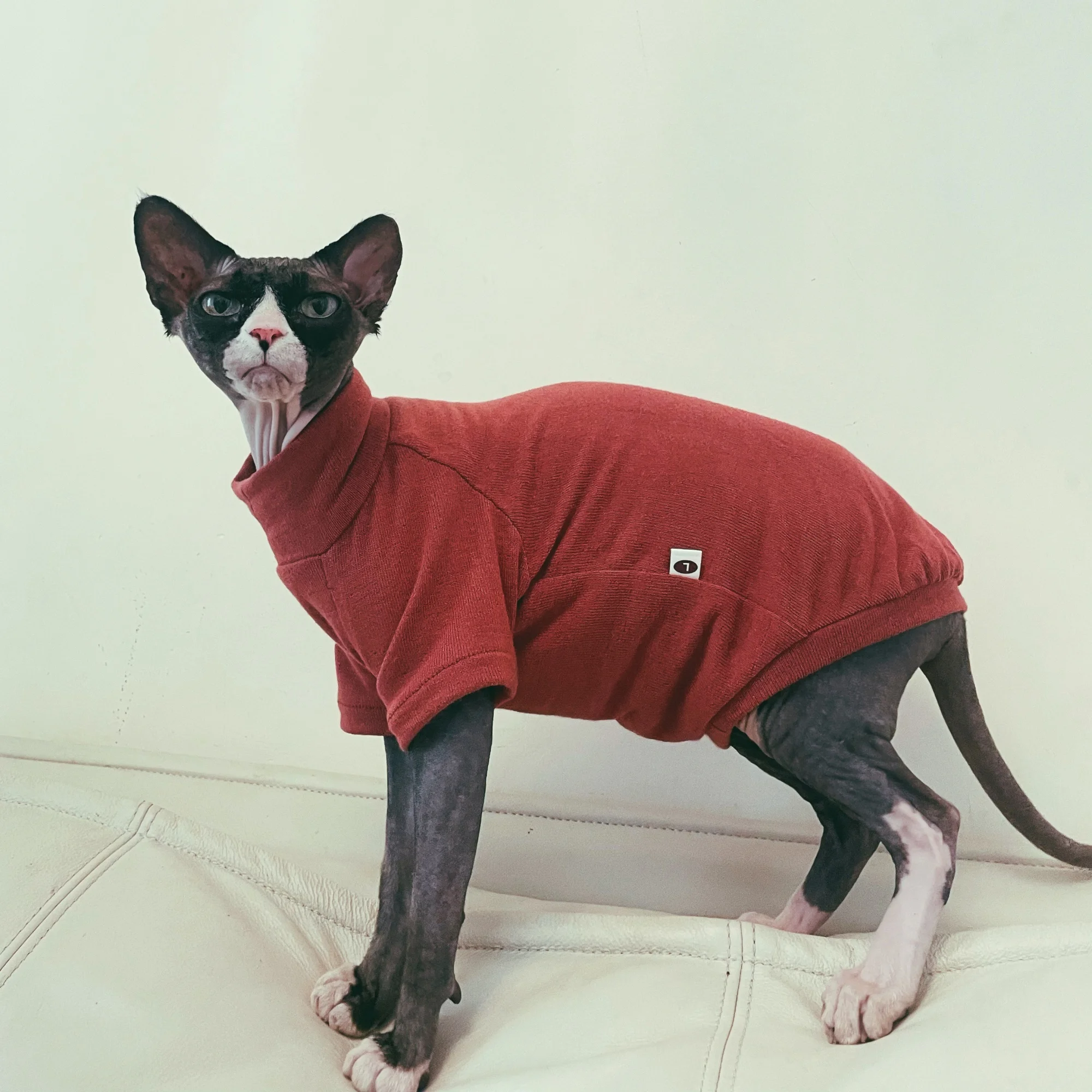 Camiseta interior de algodón suave para gato Sphynx en otoño, sudadera de manga larga para gato sin pelo, pijama elástico rojo vino para gatitos