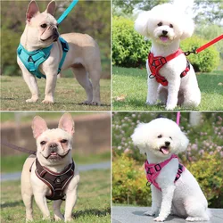 Arnés ajustable para perros pequeños – paseo cómodo y seguro