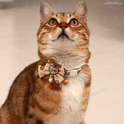 Collar seguro para gatos con campana, pajarita, cierre de seguridad desmontable, accesorios para mascotas, Collar de encaje para gatitos, gatos, cachorros, perros pequeños