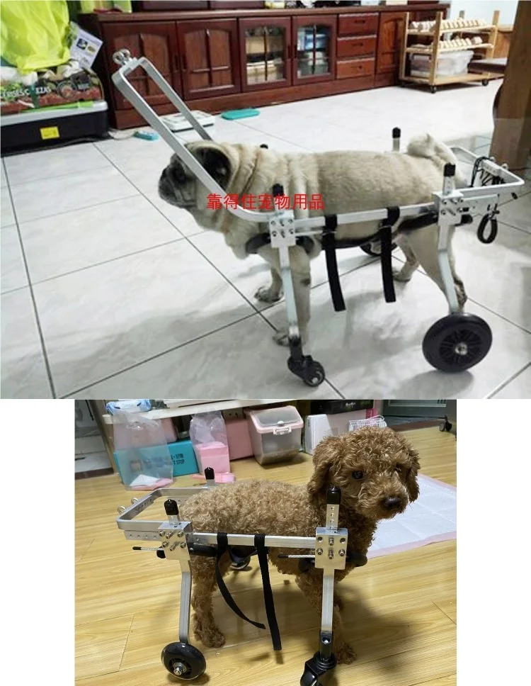 Silla de ruedas con perro montado en vista lateral