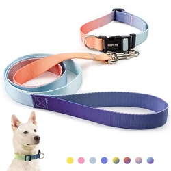Correa nailon ajustable para perros pequeños, medianos y grandes