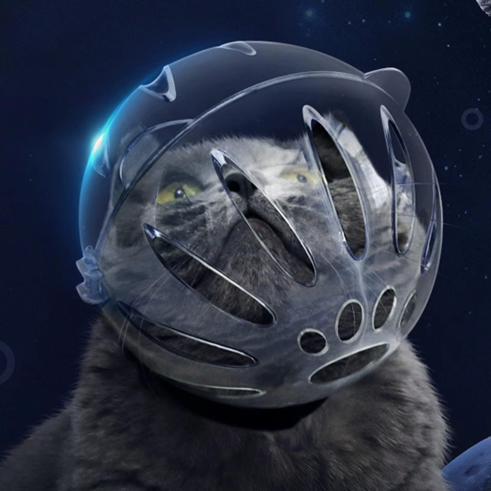 Bozal para Gatos - Evita Mordeduras y Arañazos al Cortar Uñas - imagen 2