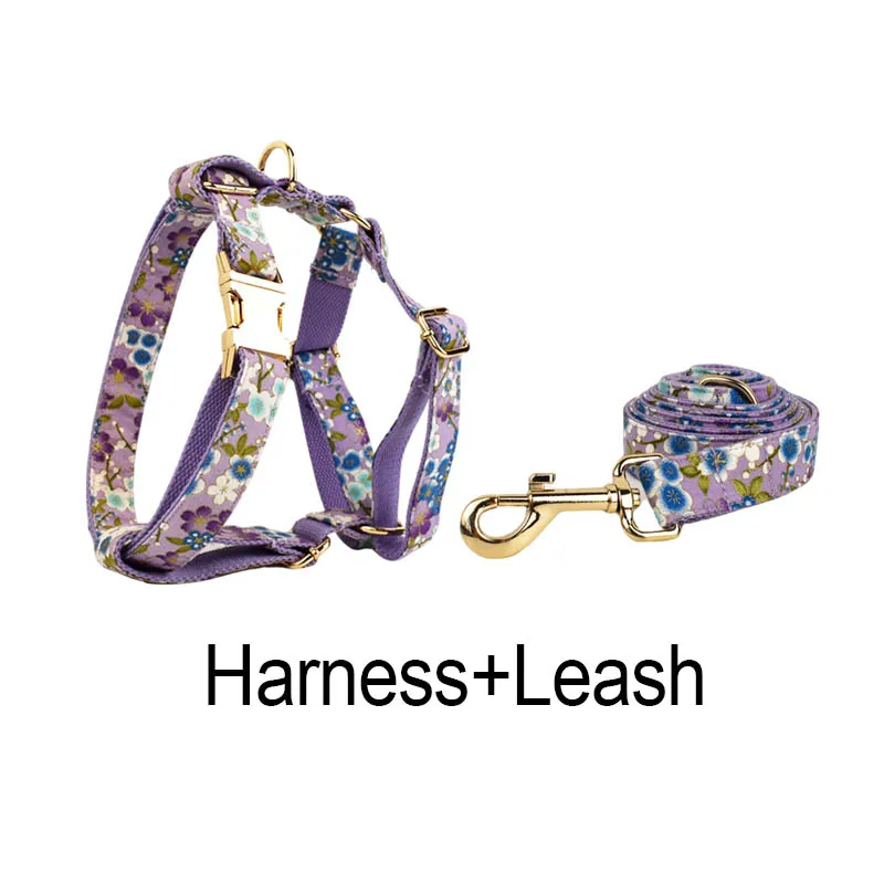 Harness   leash