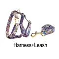 Harness   leash