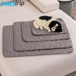 Alfombrilla reutilizable para perros - Entrenamiento de orina