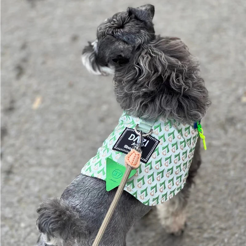 Arnés de lujo para perros pequeños, chaleco para perros de primavera y verano, Collar para Schnauzer, arnés ajustable de Pomerania para viajes de mascotas y paseo - imagen 2