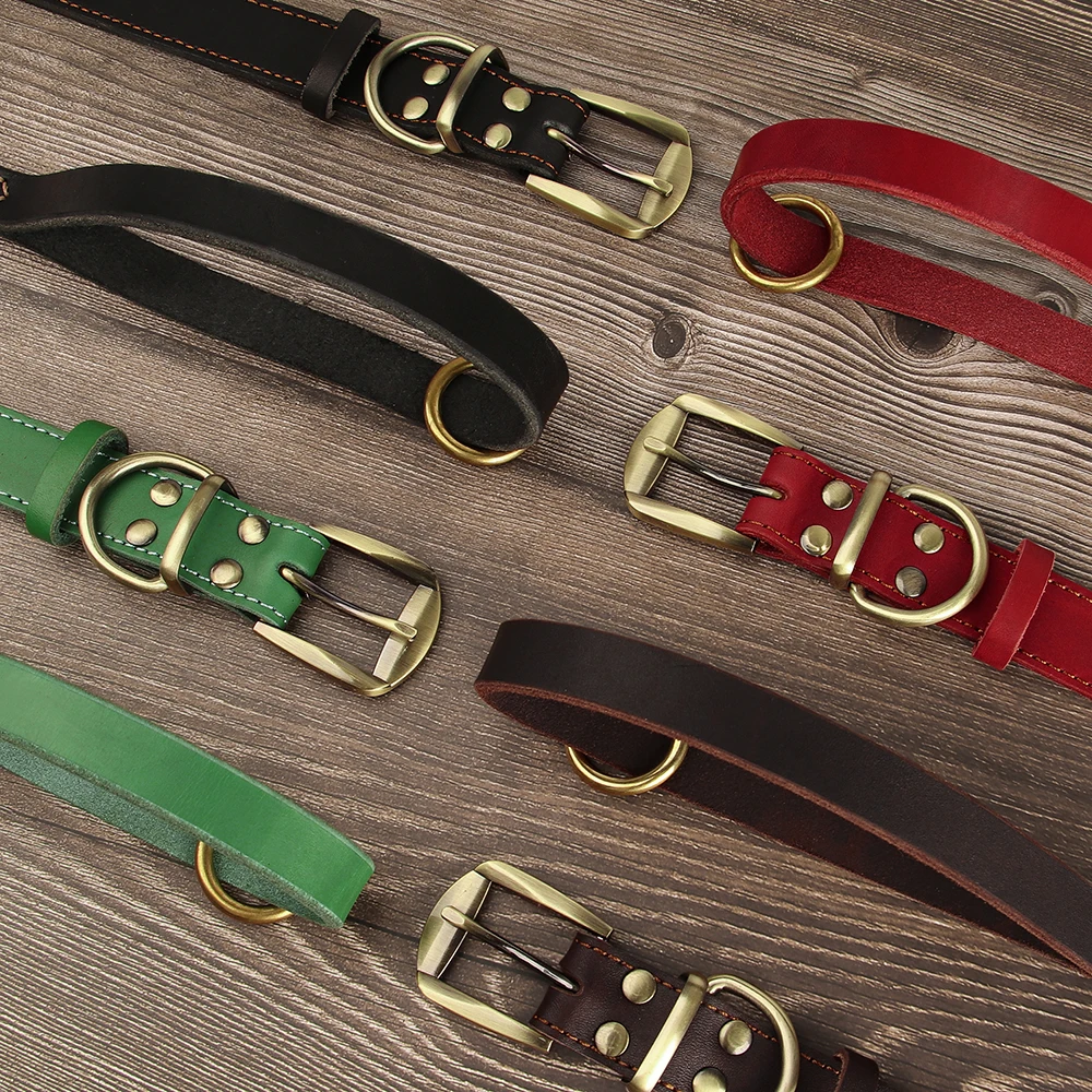 Conjunto collar y correa de cuero para perros medianos y grandes – Bulldog Francés - imagen 3