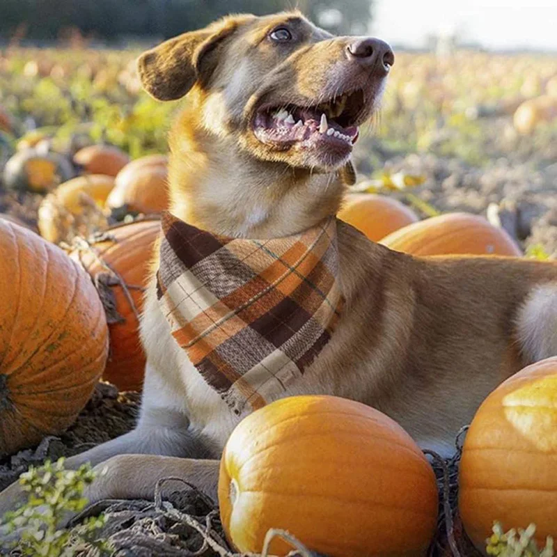 Bandana para perros grandes con estilo borla, vendaje Triangular doble para mascotas, toalla para Saliva, accesorios de aseo para mascotas, 1 Uds. - imagen 5