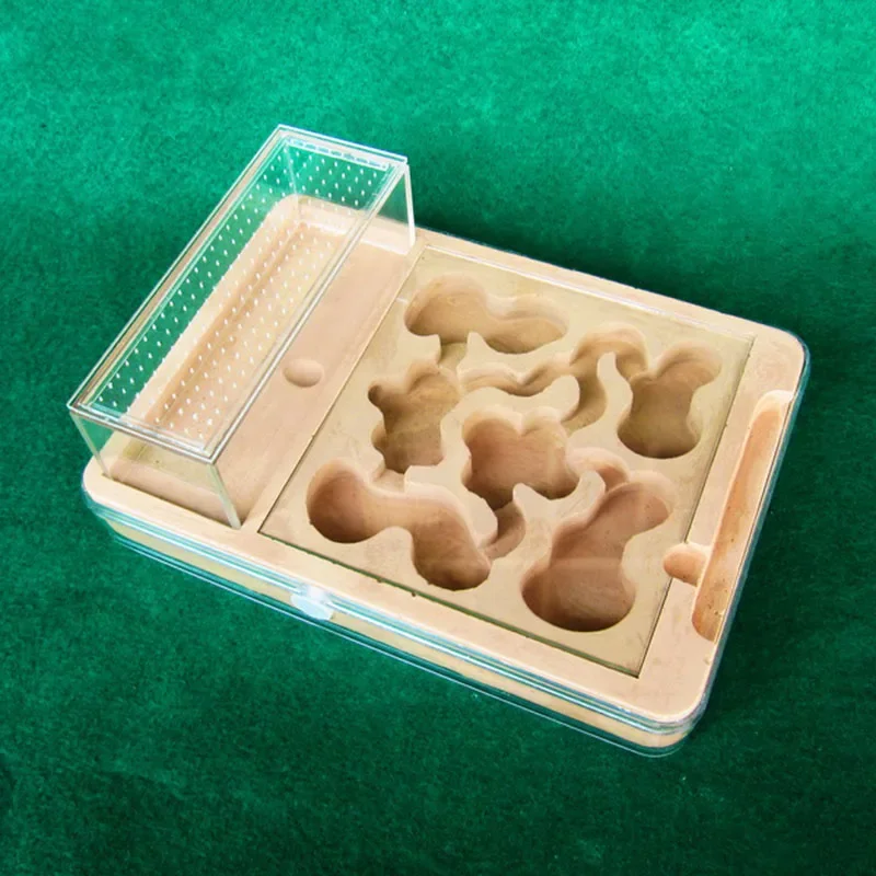 Plaster Plane Ant Farm Highly Moisturizing Ant Nest Insect Castle Drinking for Ant House with Hunt Area Gypsum Anthill Workshop - imagen 3