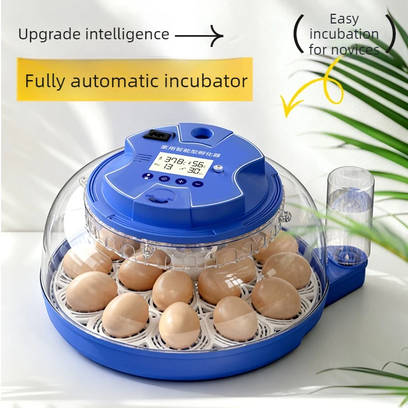 Incubadora automática huevos con volteador – Compacta