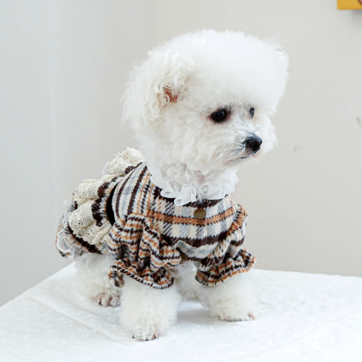 Ropa de moda para perro, vestido de princesa Vintage de encaje a rayas, ropa suave de invierno para perros pequeños, Chihuahua, Bichon para mascotas, nuevo - imagen 3