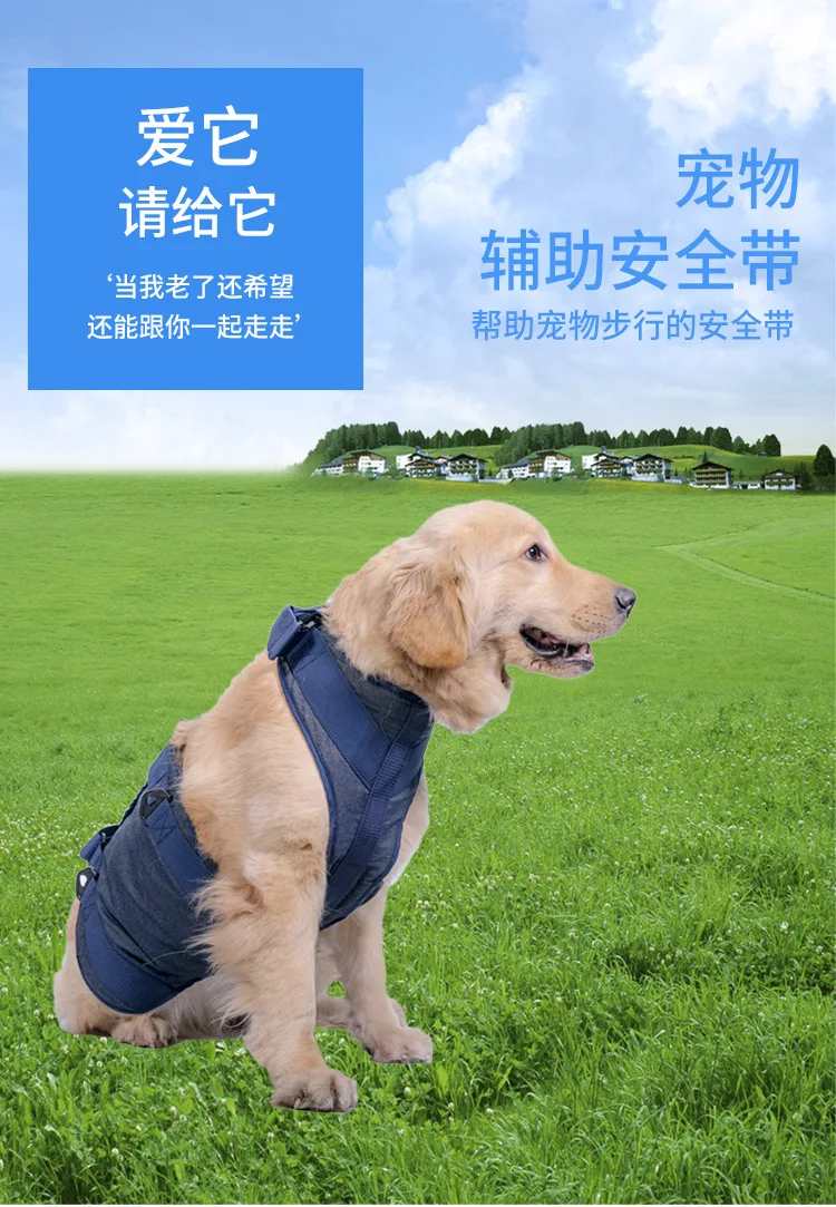 Auxiliary tape details page _01