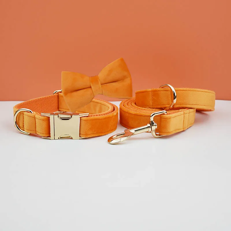 Bow Collar Leash41