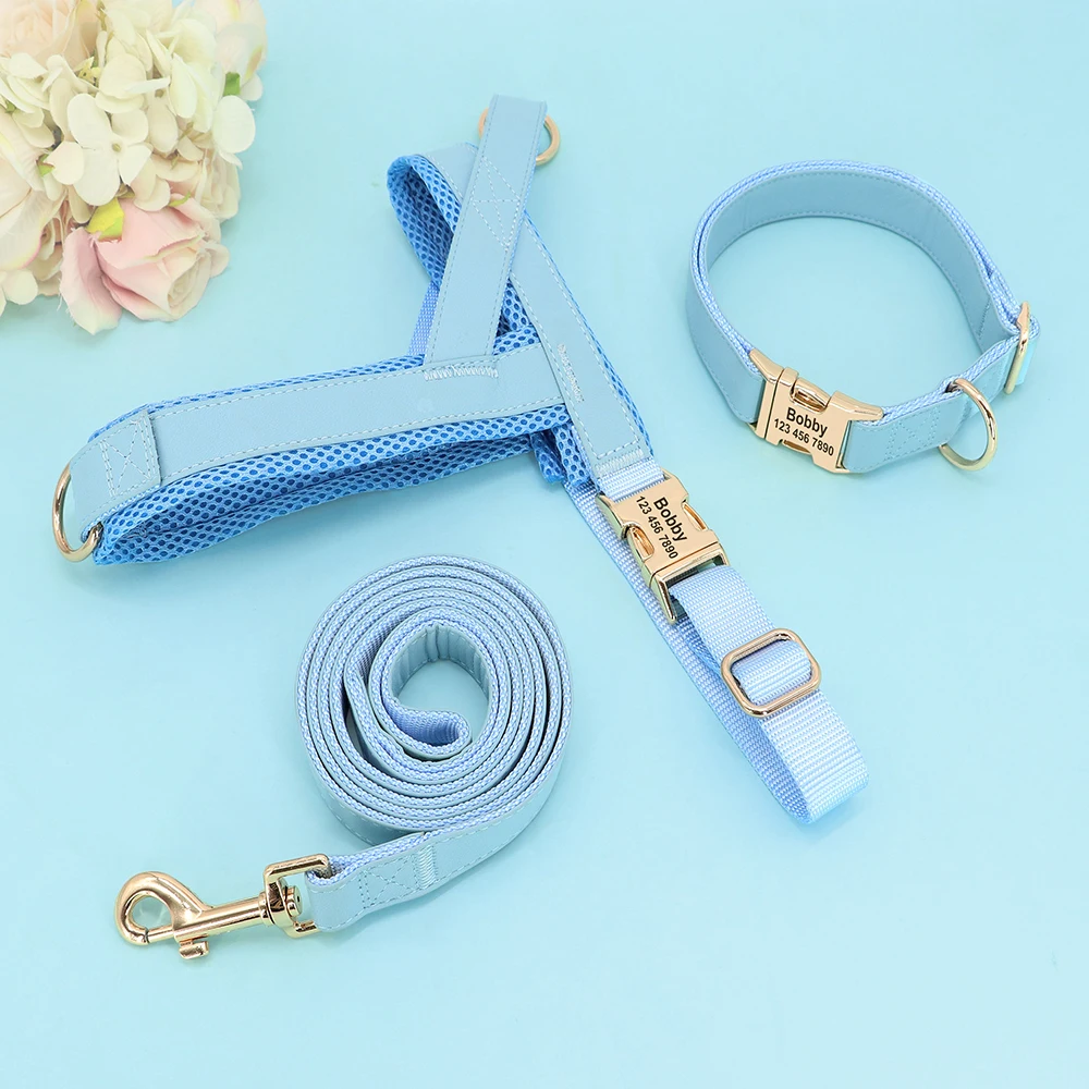 Conjunto de correa de arnés de Collar de perro personalizado, collares de perro personalizados, chaleco para mascotas sin tirar para perros pequeños, medianos y grandes, cuerda de plomo para caminar - imagen 2