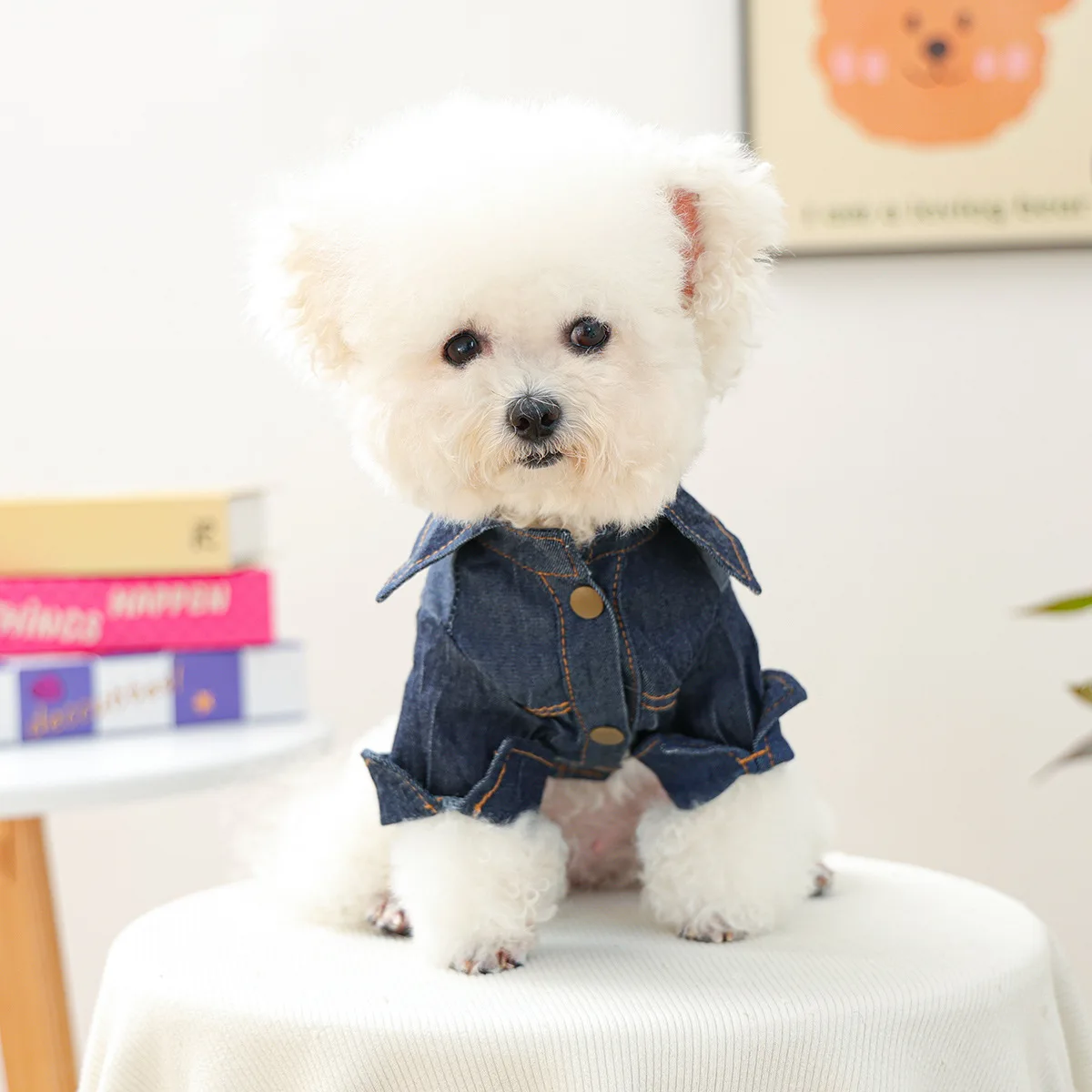 Chaqueta vaquera de otoño e invierno para mascotas, camisa vaquera cálida y cómoda para perros pequeños y gatos felices, ropa para perros pequeños - imagen 3