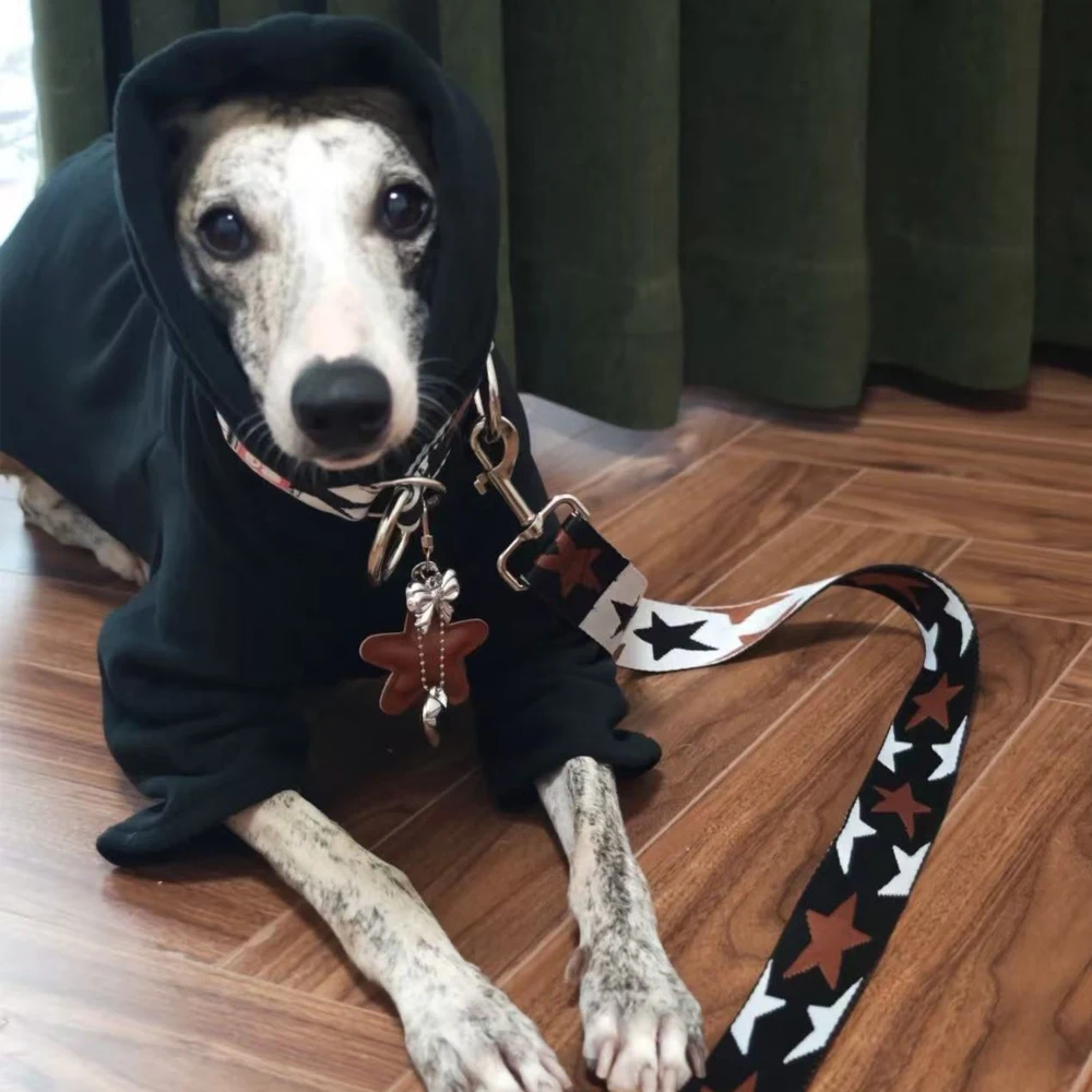 Camiseta interior suave y transpirable para Whippet, abrigo de 2 patas para pijama negro de cuello alto de galgo italiano para perros pequeños y medianos - imagen 3