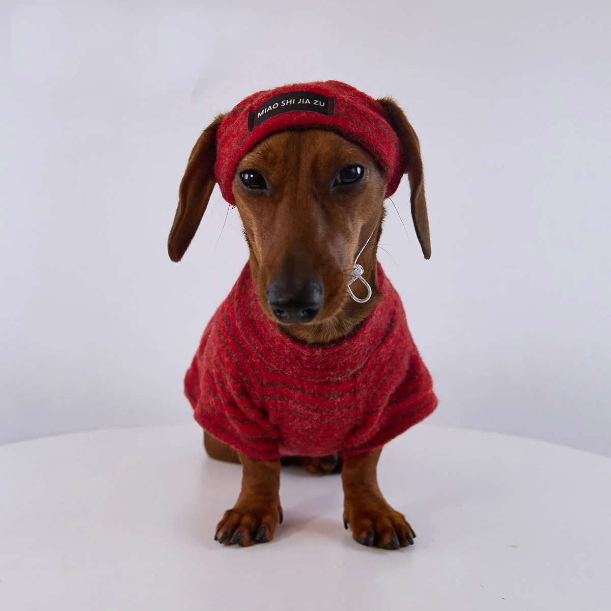 Abriguito de lana para perro salchicha – Pijama invierno con gorro