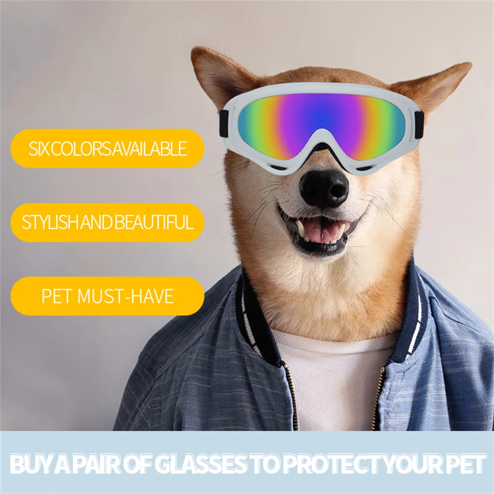 Gafas de sol para perro Bulldog francés, lentes ajustables para conducción al aire libre, accesorios para mascotas - imagen 5