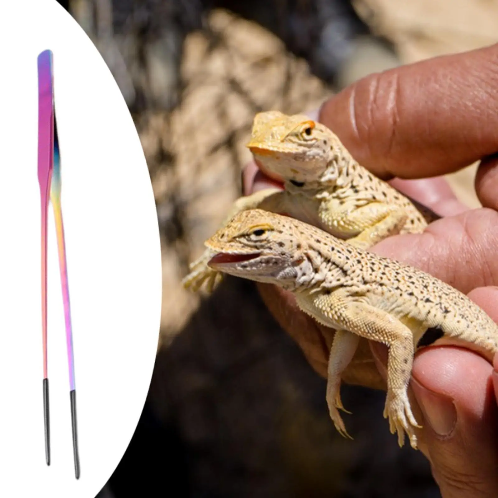 Pinzas silicona para reptiles: punta suave en iguanas y tortugas - imagen 3