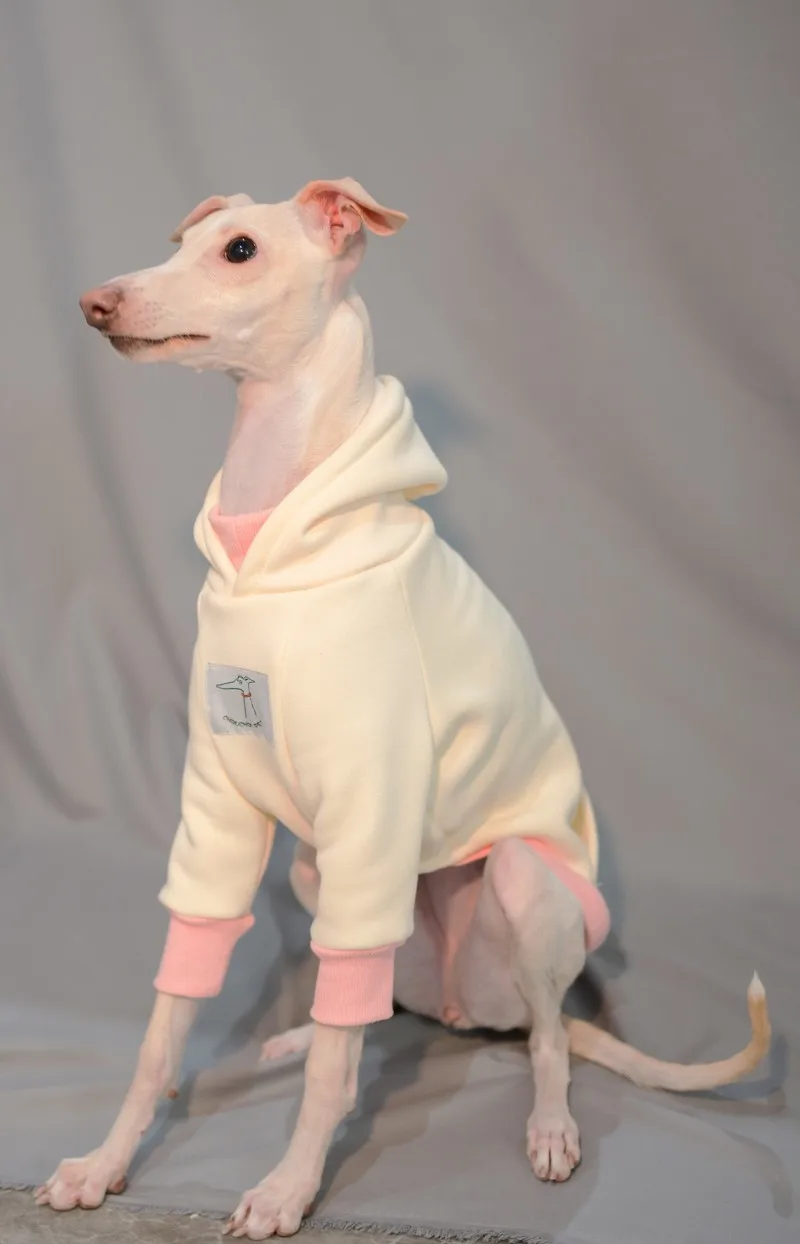 Sudadera CON CAPUCHA DE Galgo Italiano, Whippet, sudadera de invierno de algodón, Galaxia italiana, ropa para perros pequeños y medianos - imagen 5