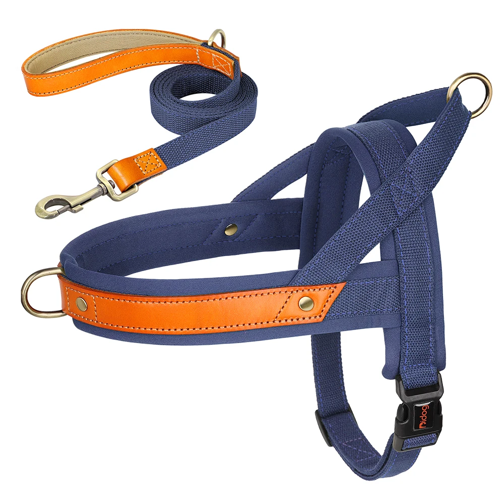 DBlue Harness