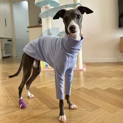 Camiseta de algodón para perros – primavera/verano con cuello alto