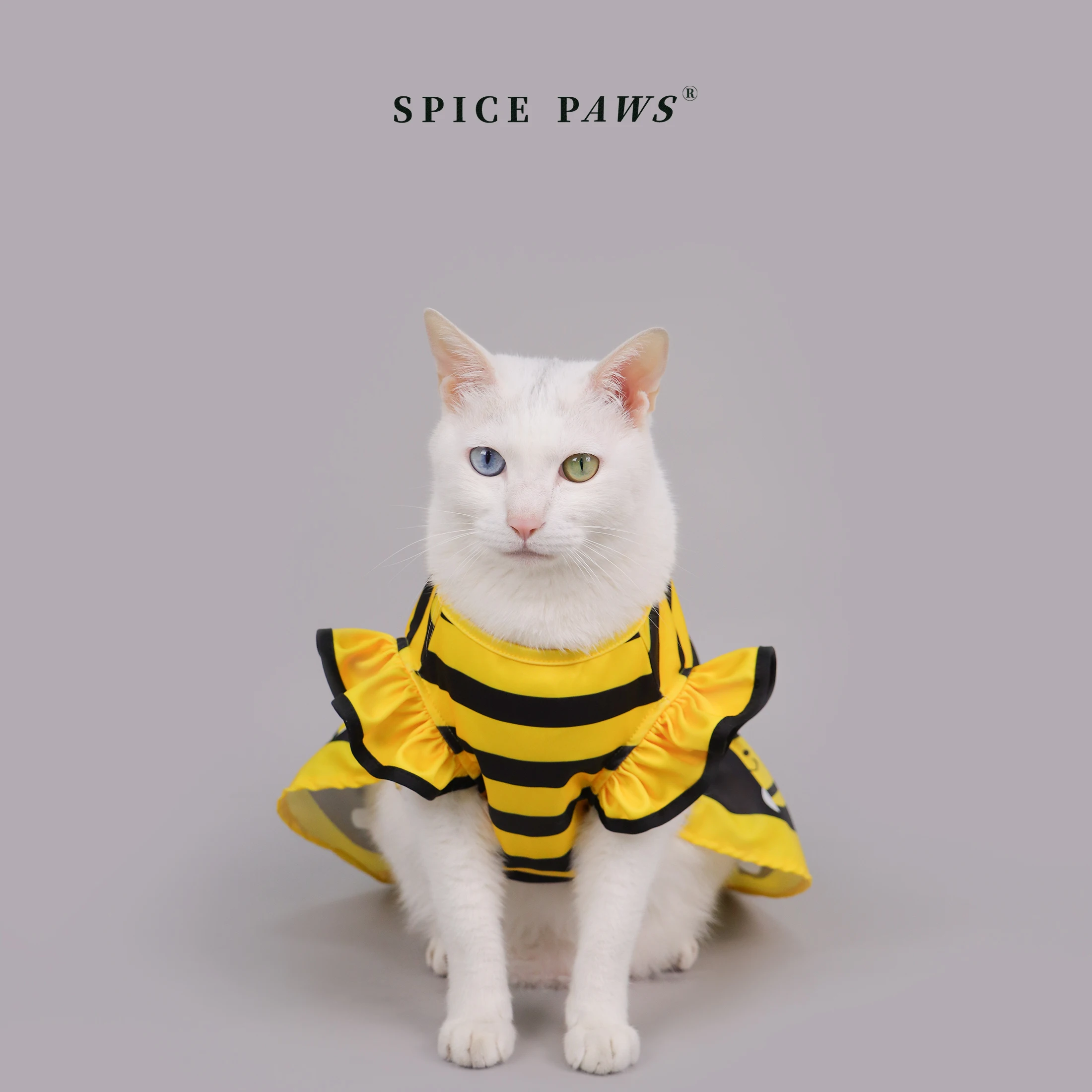Disfraz de abeja para perros y gatos – Vestido Halloween mascota - imagen 5